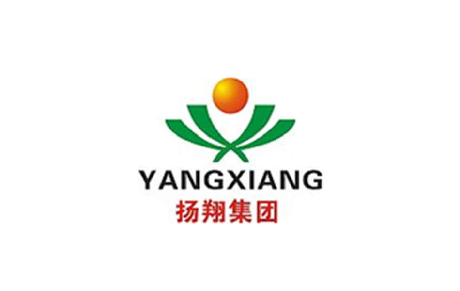 揚(yáng)翔集團(tuán)